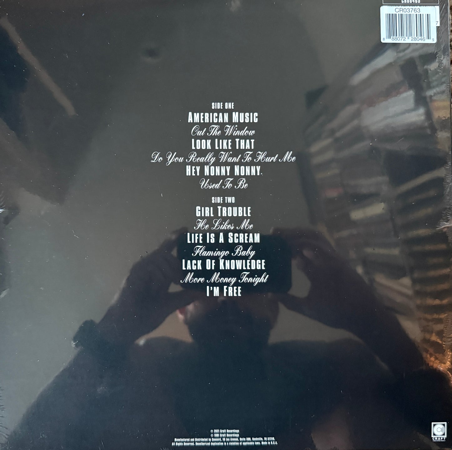 Violent Femmes - Do Birds Sing (Factory Sealed)