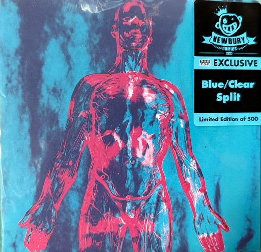 Nirvana - Sliver/Dive (Blue/Clear Split 7”)