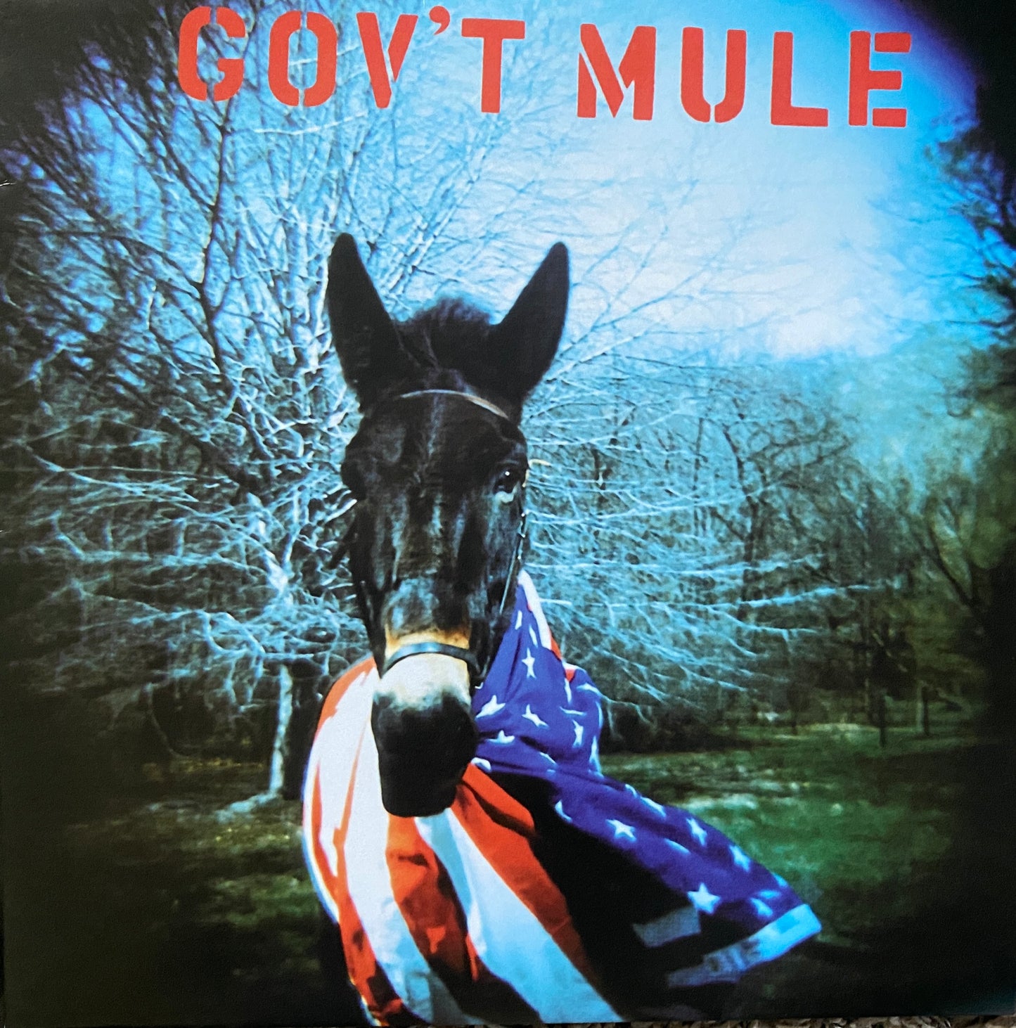 Gov’t Mule - Gov’t Mule (2011 Europe Press 2XLP)