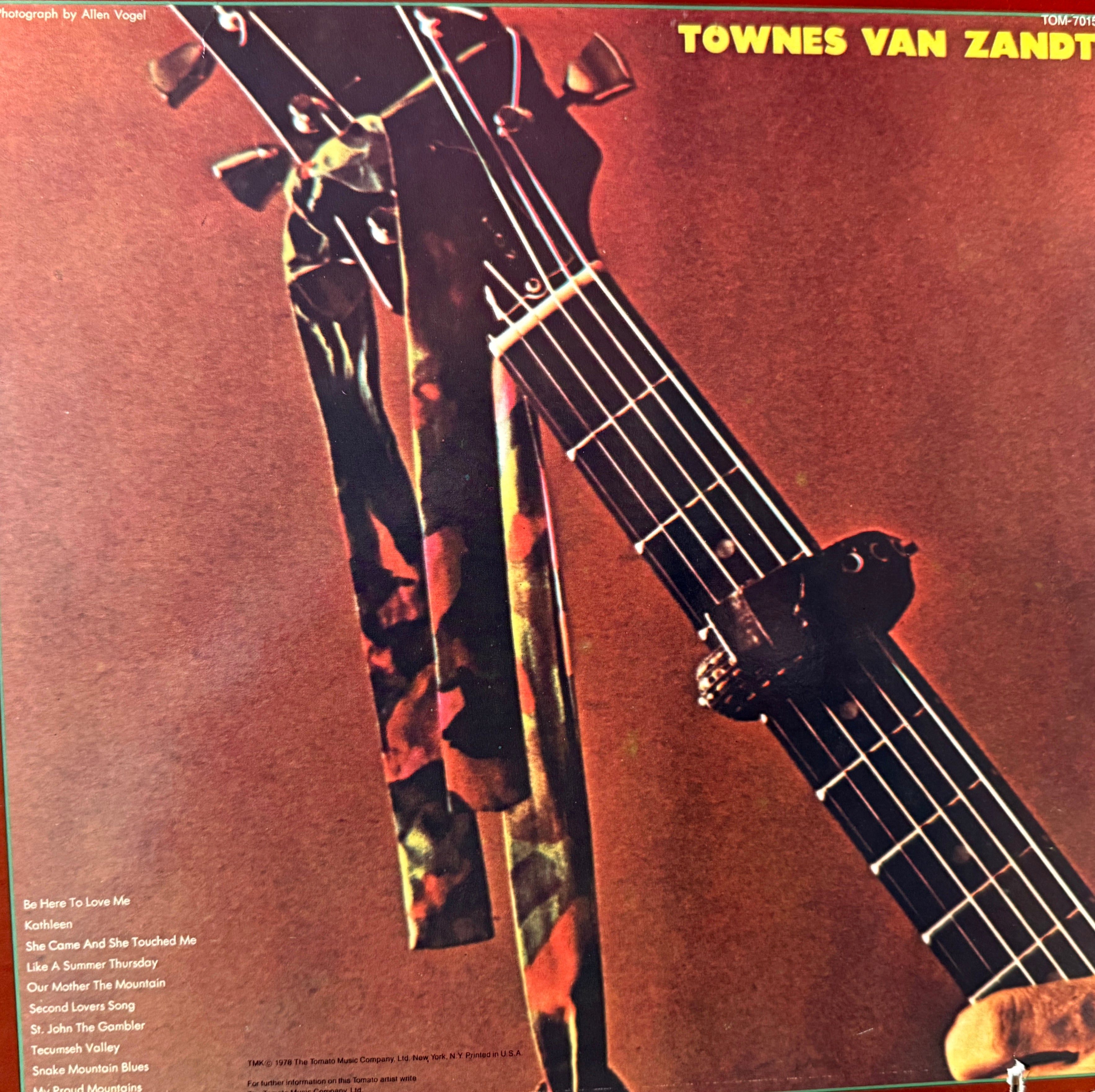 ミュージシャン tomato Townes Van Zandt - Our Mother The Mountain (1978 Tomato) – Hi-Fidelity
