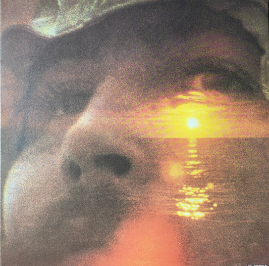 David Crosby - If I Could Only Remember My Name (Classic Records)