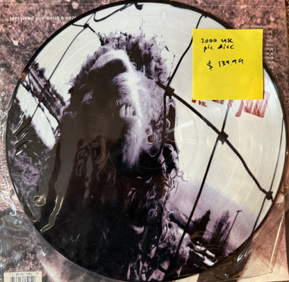 Pearl Jam - VS. (2000 UK Picture Disc)