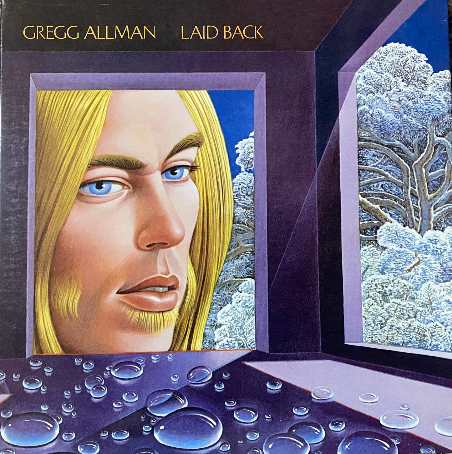 Gregg Allman - Laid Back (Analogue Productions)