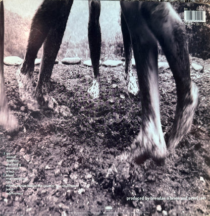 Pearl Jam - VS. (1993 Europe Press)